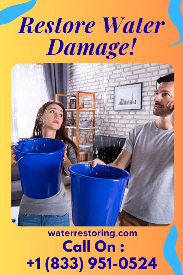water restoration Stellar Storm Recovery Inc Rowland