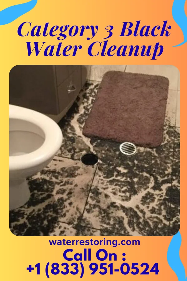 Category 3 Black Water Cleanup in Rowland, NC