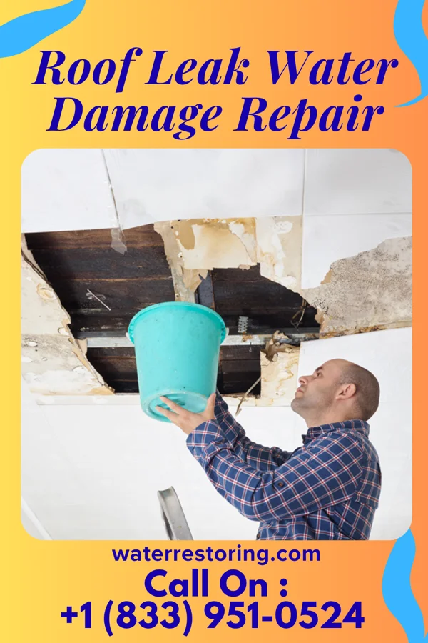 Roof Leak Water Damage Repair in Rowland, NC